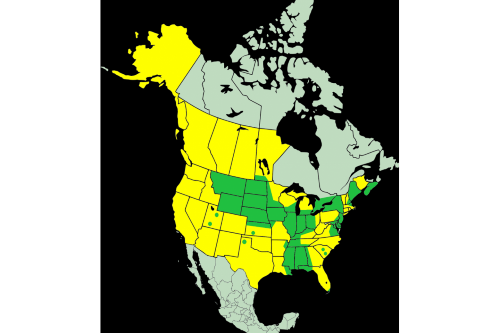 RTK-MAP1